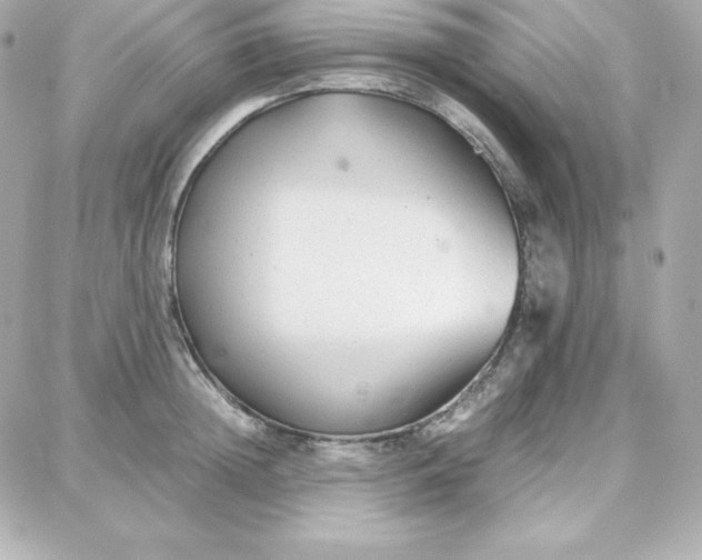 X0000087750852200705211035