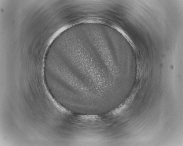 X0000087750853200705211035