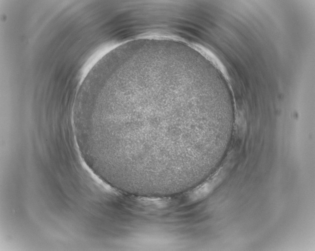 X0000087750855200705211035