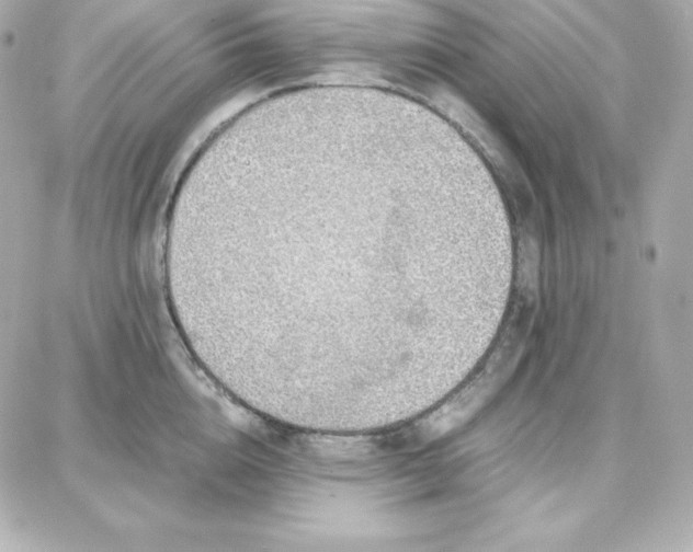 X0000087750856200705211035