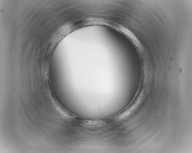 X0000087750857200705211035