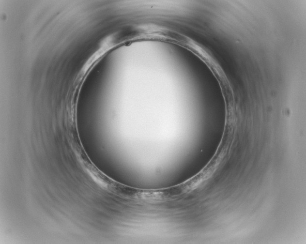 X0000087750858200705211035