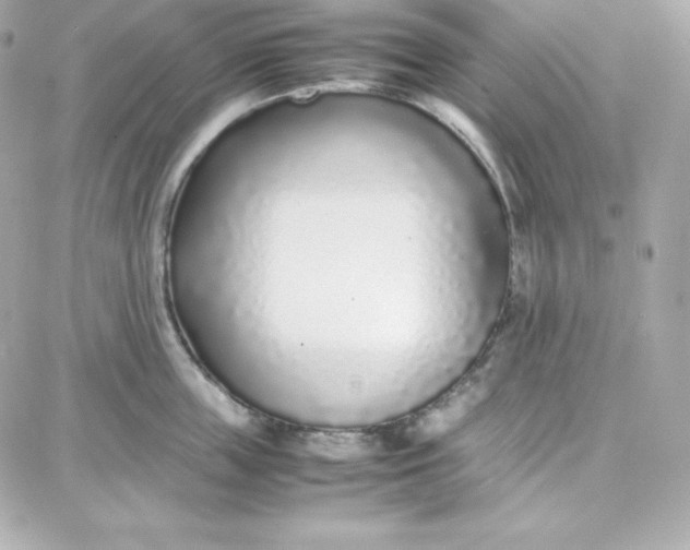 X0000087750859200705211035