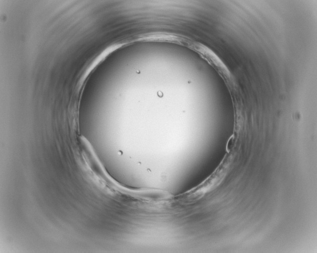 X0000087750860200705211035