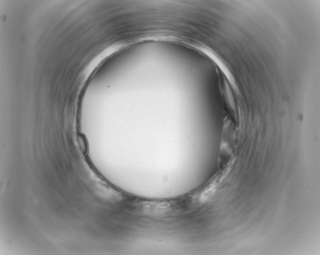 X0000087750861200705211035