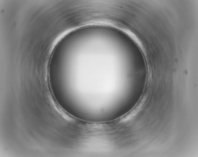 X0000087750862200705211035