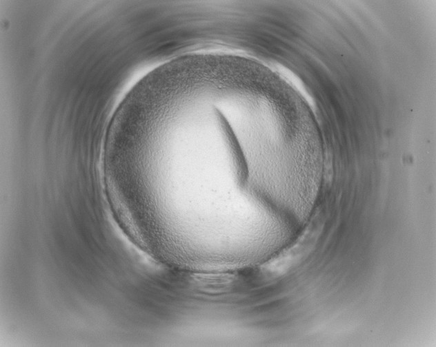 X0000087750863200705211035