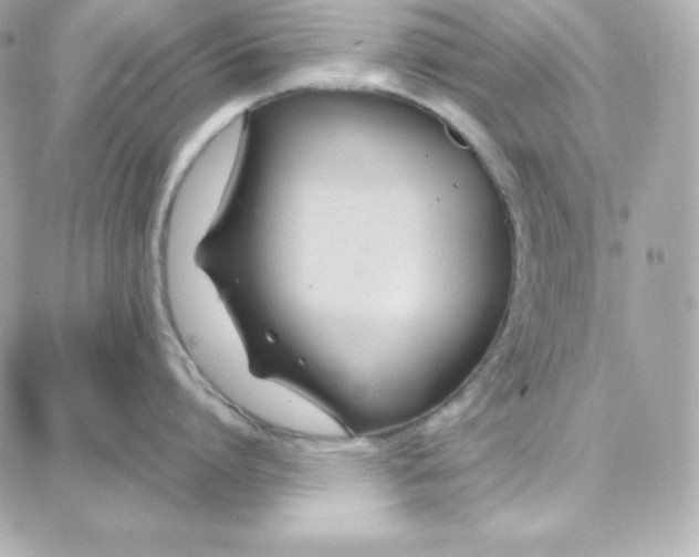 X0000087750864200705211035