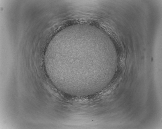 X0000087750865200705211035