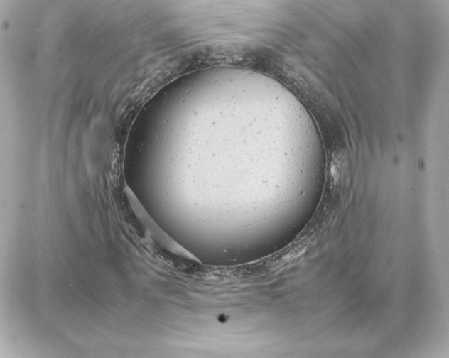 X0000087750867200705211035