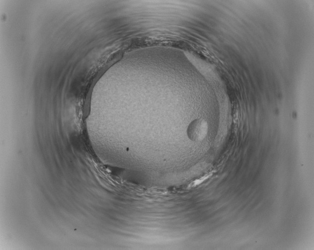 X0000087750868200705211035