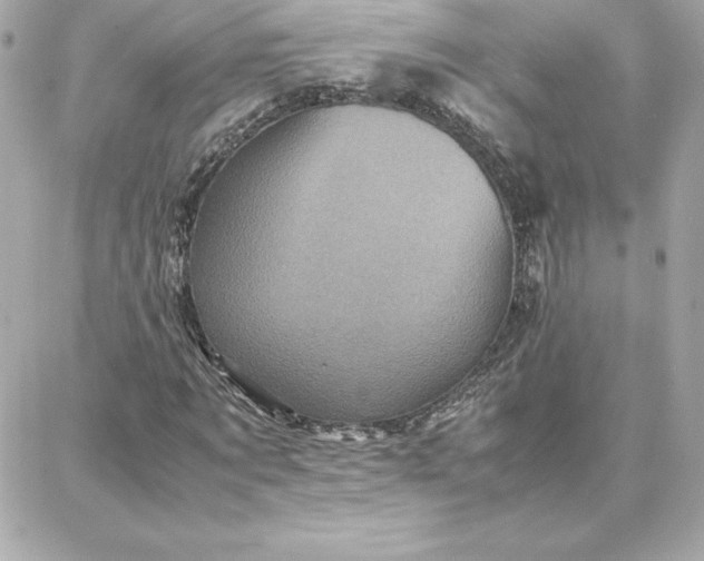 X0000087750869200705211035