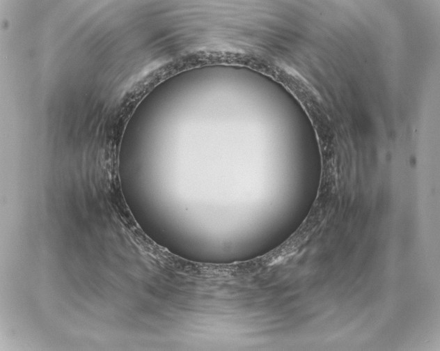 X0000087750870200705211035