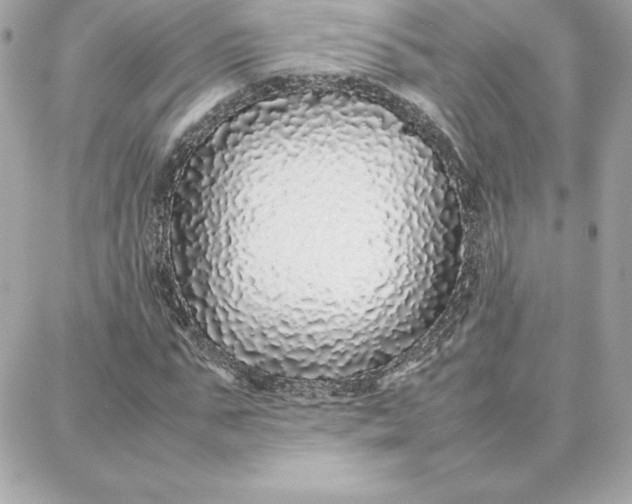 X0000087750871200705211035