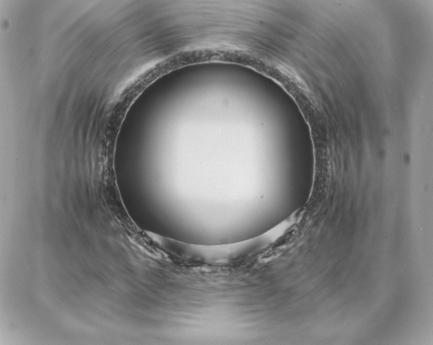 X0000087750872200705211035