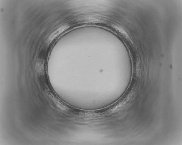 X0000087750873200705211035