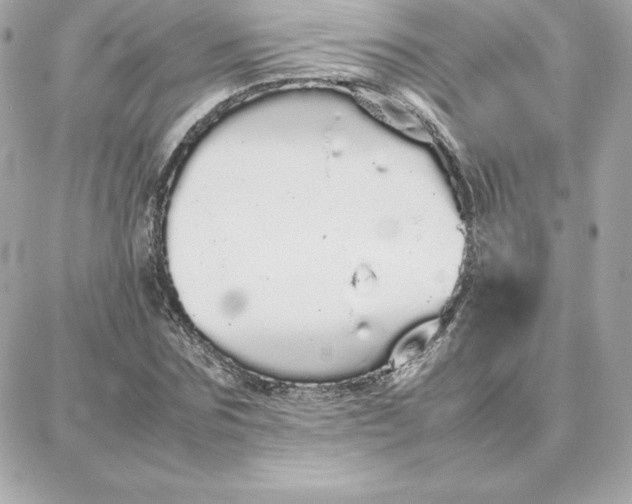 X0000087750875200705211035