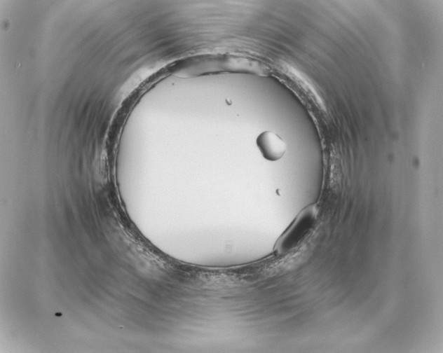 X0000087750876200705211035