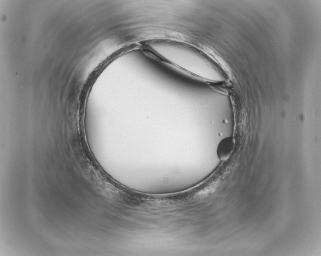 X0000087750877200705211035