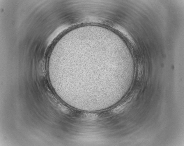 X0000087750878200705211035