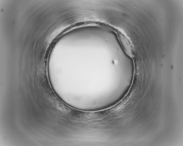 X0000087750879200705211034