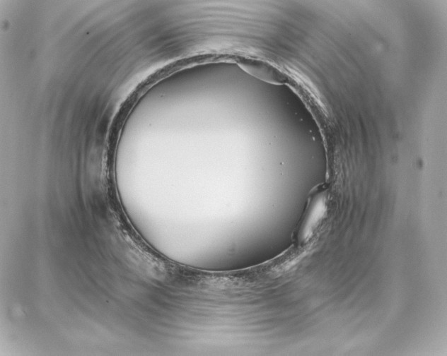 X0000087750880200705211034