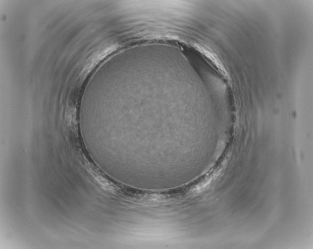 X0000087750881200705211034