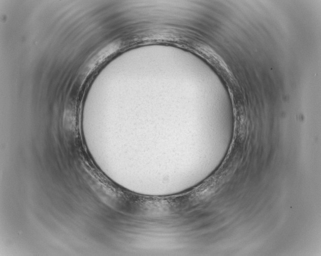 X0000087750882200705211034