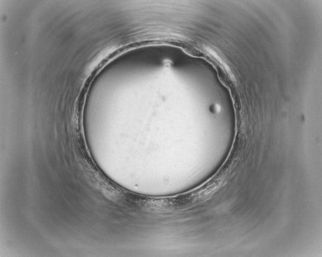 X0000087750883200705211034