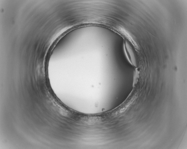 X0000087750884200705211034