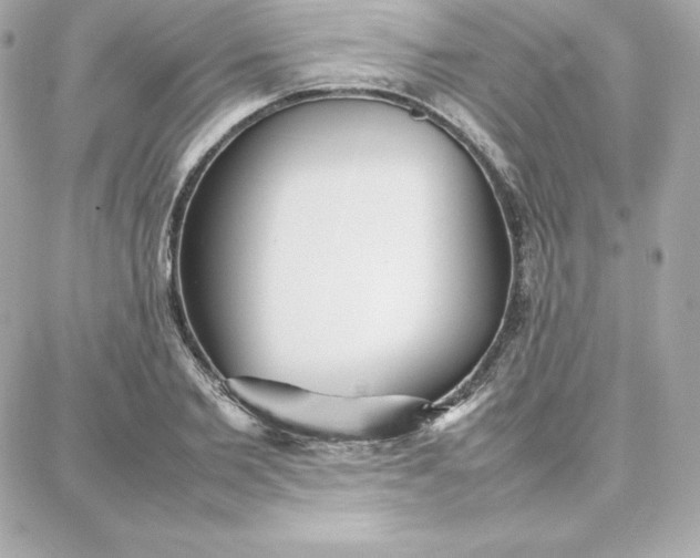 X0000087750885200705211034