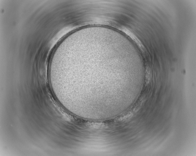 X0000087750886200705211034