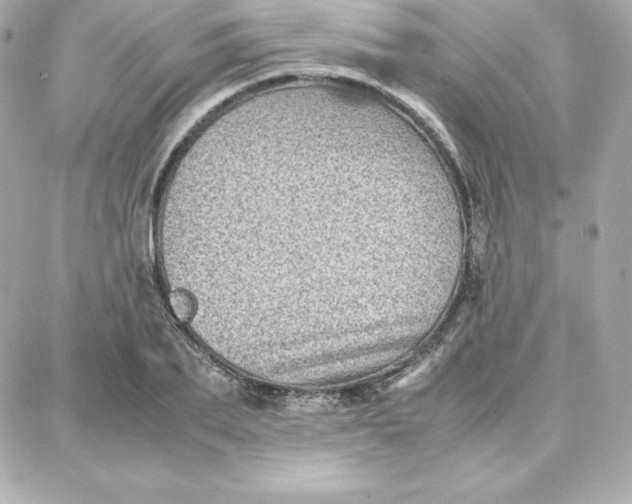 X0000087750887200705211034