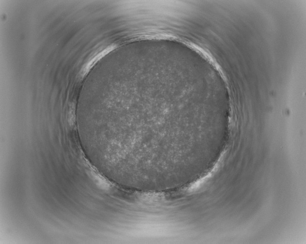 X0000087750889200705211034