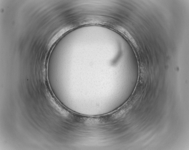 X0000087750890200705211034