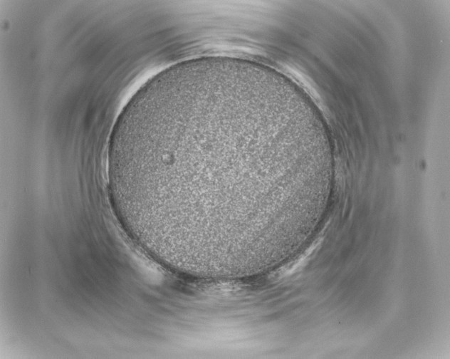 X0000087750891200705211034