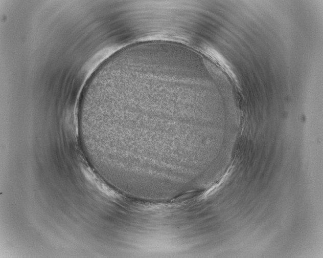 X0000087750892200705211034