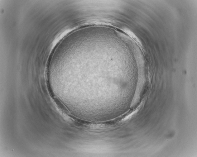 X0000087750893200705211034