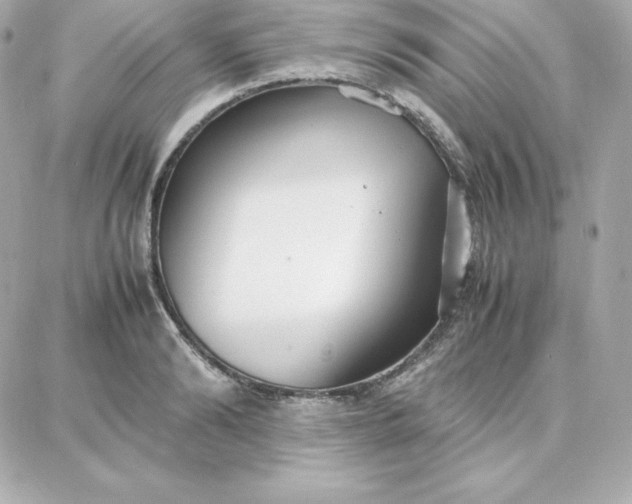 X0000087750894200705211034