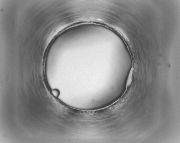 X0000087750895200705211034