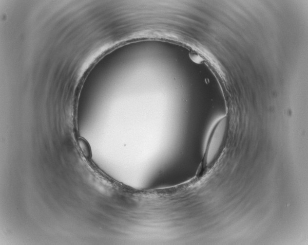 X0000087750896200705211034