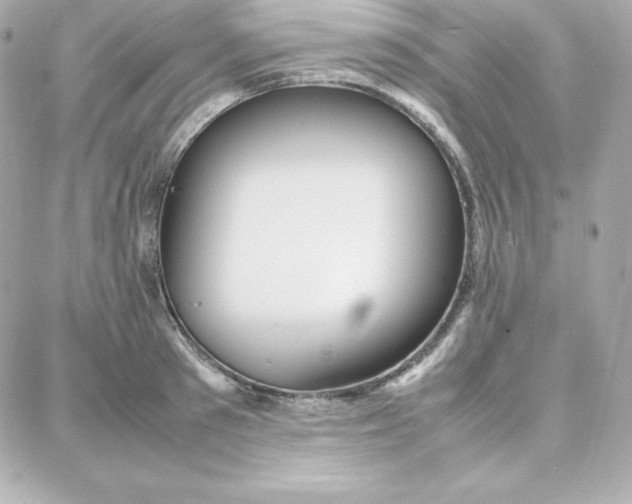 X0000087750897200705211034