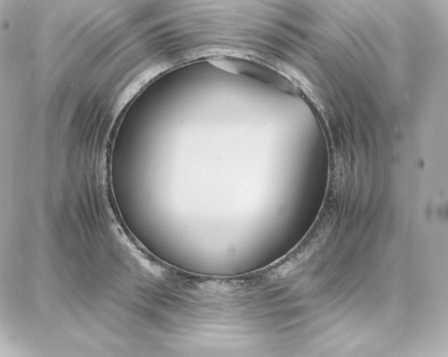 X0000087750898200705211034