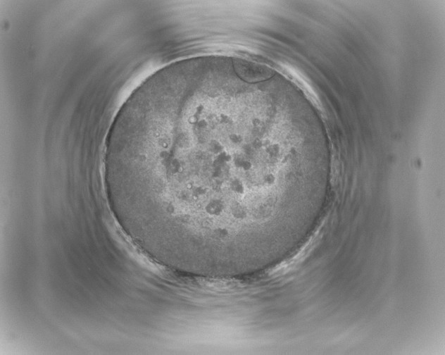 X0000087750899200705211034