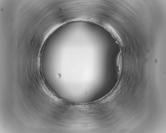 X0000087750900200705211034