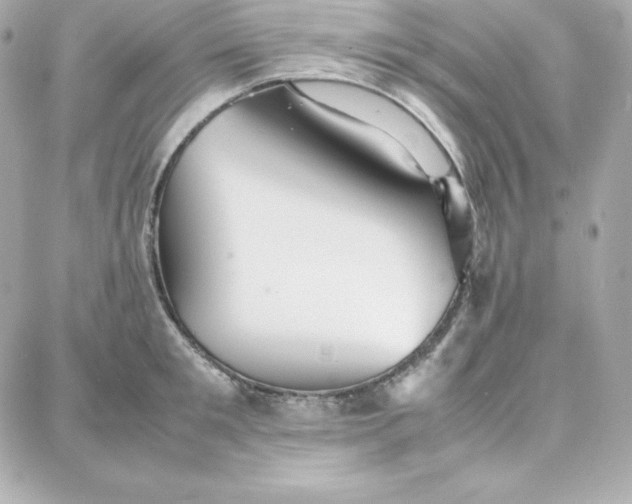 X0000087750901200705211034