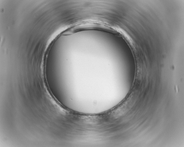 X0000087750902200705211034