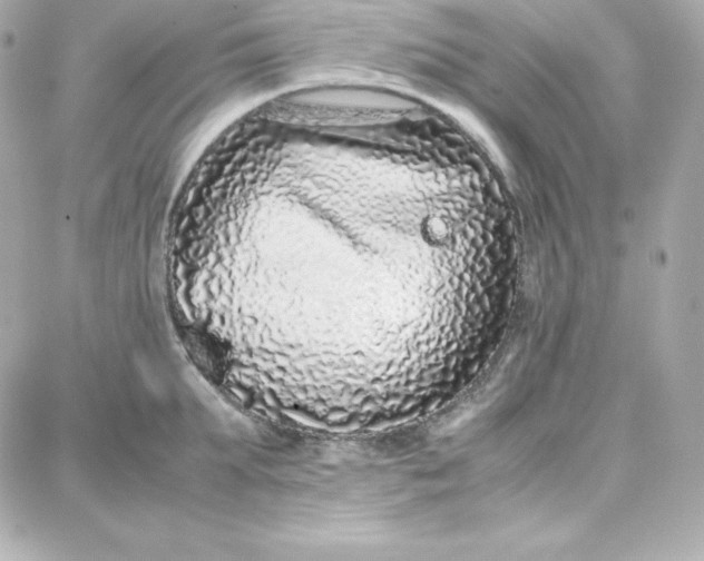 X0000087750903200705211034