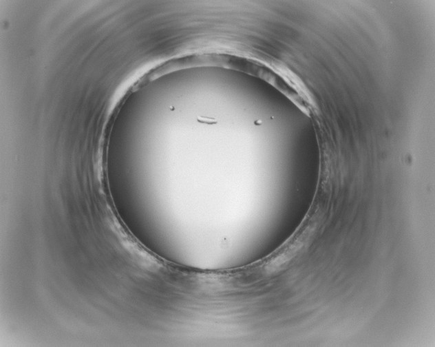 X0000087750904200705211034