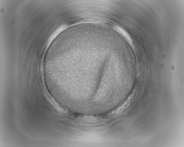 X0000087750907200705211034